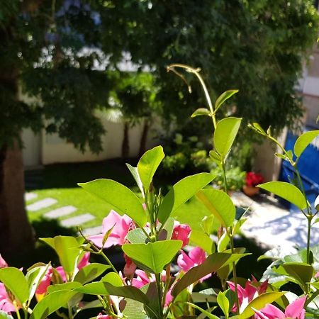 אמבואה Villa Mary מראה חיצוני תמונה