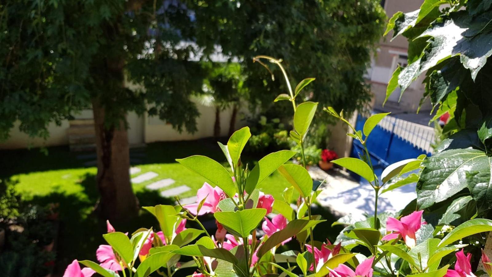 אמבואה Villa Mary מראה חיצוני תמונה